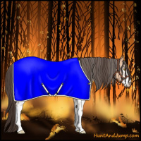 Horse Color:White Spotted Amber Champagne
