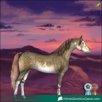 Horse Color:Painted White Spotted Buckskin Dun Splash 