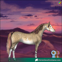 Horse Color:Painted White Spotted Buckskin Dun Splash 