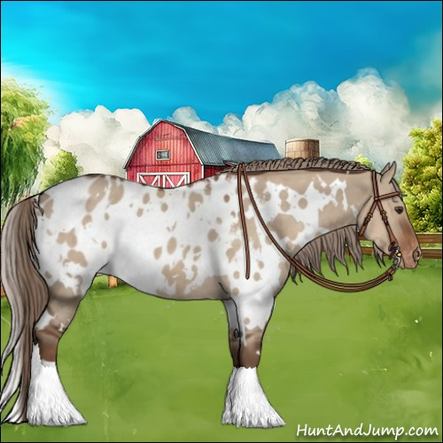 Horse Color:White Spotted Liver Red Dun Blanket