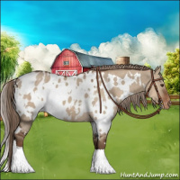 Horse Color:White Spotted Liver Red Dun Blanket 