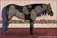 Horse Color:Void Painted Smoky Grullo Tobiano 