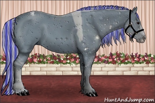 Horse Color:ERROR: UNKNOWN ANOMALY