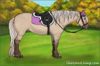 Horse Color:Silver Bay Dun 