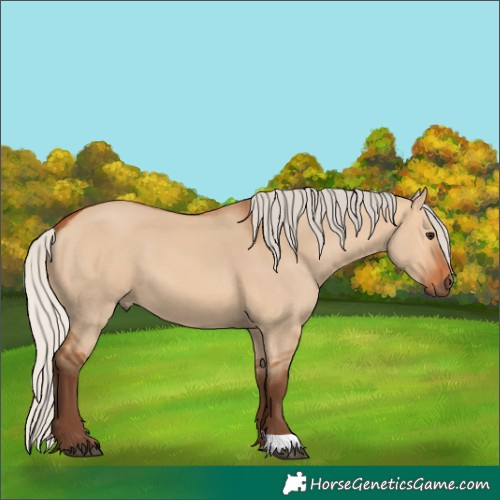 Horse Color:Silver Bay Dun 