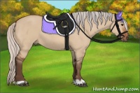 Horse Color:Silver Bay Dun 