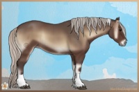 Horse Color:Silver Blue Onyx Tobiano Rabicano 