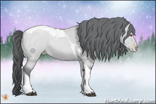 Horse Color:Black Chinchilla Pearl Tobiano Rabicano 