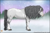 Horse Color:Black Chinchilla Pearl Tobiano Rabicano
