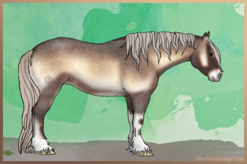 Horse Color:Silver Brown Roan Onyx 