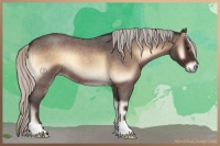 Horse Color:Silver Brown Roan Onyx