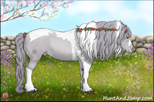 Horse Color:Watercolor Black Chinchilla Pearl Tobiano Varnish Rabicano