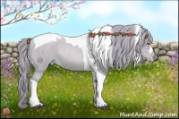 Horse Color:Watercolor Black Chinchilla Pearl Tobiano Varnish Rabicano 