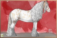 Horse Color:Silver Blue Onyx Pearl Tobiano Frame Blanket Rabicano 