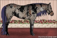 Horse Color:Void Painted White Spotted Brown Dun