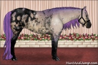 Horse Color:Void Painted Watercolor White Spotted Brown Dun Appaloosa 