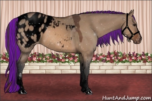 Horse Color:ERROR: UNKNOWN ANOMALY