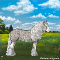 Horse Color:White Spotted Red Dun Ice Mushroom Splash 