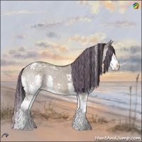 Horse Color:Painted White Spotted Brown Ice Dun Splash Tobiano Rabicano 