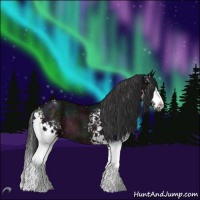 Horse Color:White Spotted Midnight Brown Chinchilla Ice Roan 