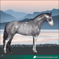 Horse Color:Midnight Sable Champagne Chinchilla Ice Roan Dun Sabino Rabicano 