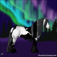 Horse Color:Brown Chinchilla Dun Tobiano Brindle 
