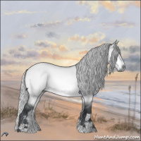 Horse Color:Silver Brown Chinchilla Roan Dun 