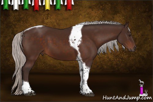 Horse Color:Silver Brown Tobiano 