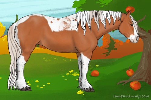 Horse Color:Silver Bay Sabino Splash Tobiano 