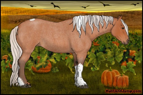Horse Color:Silver Bay Roan Tobiano 