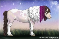 Horse Color:Sable Champagne Dun Sabino Tobiano 