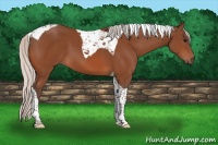 Horse Color:Silver Bay Tobiano 