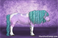 Horse Color:Painted Watercolor Silver Brown Sabino Tobiano