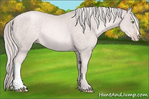 Horse Color:Platinum Gold Cream Champagne Rabicano 