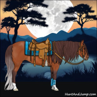 Horse Color:Chocolate Bay 