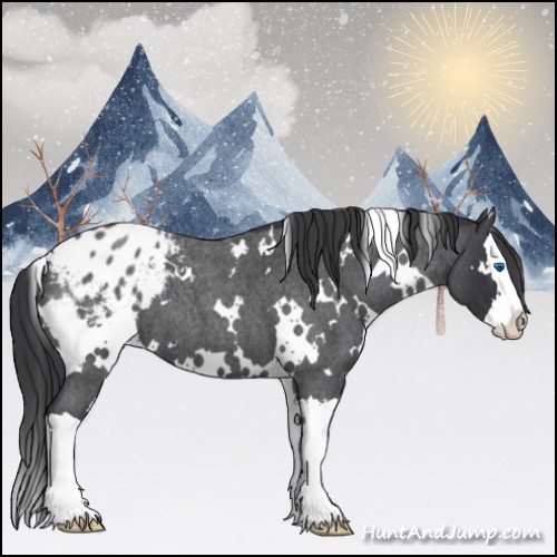 Horse Color:White Spotted Blue Roan Splash Varnish