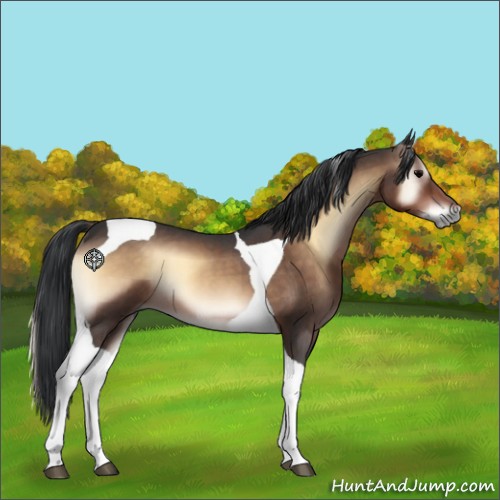 Horse Color:Brown Roan Onyx Tobiano 