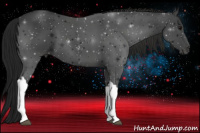 Horse Color:Gray Black 