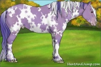 Horse Color:Watercolor White Spotted Classic Champagne 