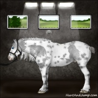 Horse Color:Black Splash Tobiano Varnish 