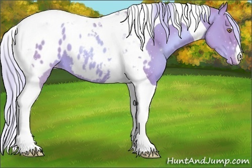 Horse Color:Watercolor Gold Champagne Tobiano Appaloosa 