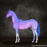 Horse Color:Watercolor Brown Rabicano 