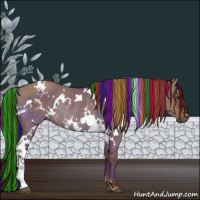 Horse Color:Painted White Spotted Liver Red Dun Rabicano 