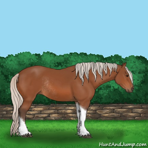 Horse Color:Silver Bay Tobiano Rabicano 