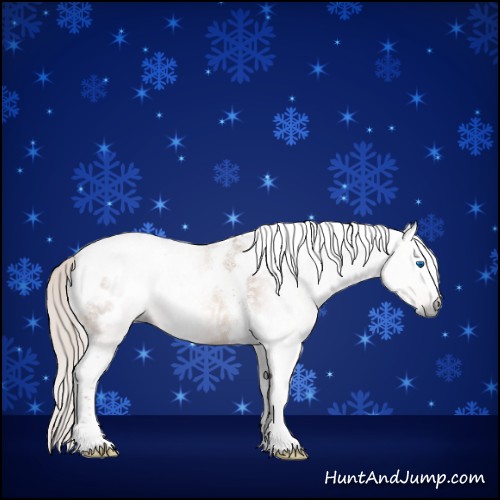 Horse Color:Gray Silver Amber Champagne Splash Tobiano Frame Appaloosa Rabicano 