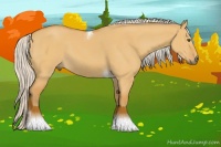 Horse Color:Silver Buckskin Dun Tobiano Rabicano