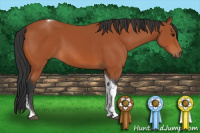 Horse Color:Bay Tobiano Rabicano 