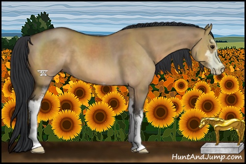 Horse Color:Bay Dun Sabino 