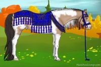 Horse Color:Amber Champagne Roan Tobiano Frame