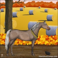 Horse Color:Liver Red Dun Mushroom 